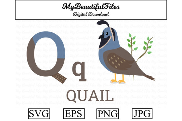 Alphabet ABC Animal - Quail: A Playful Creative Asset