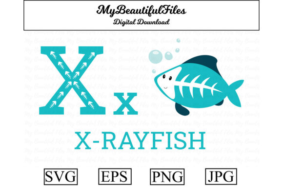 Alphabet ABC Animal - Xrayfish: A Creative Design Asset