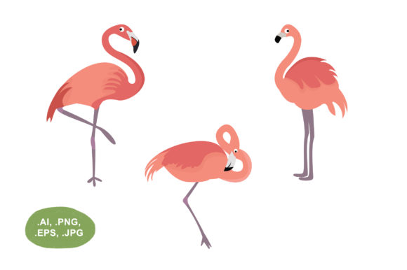 Animal - Flamingos: A Bold Creative Asset for Modern Designers