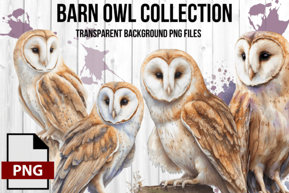 Enchanting Watercolor Vintage Barn Owl Graphic Set